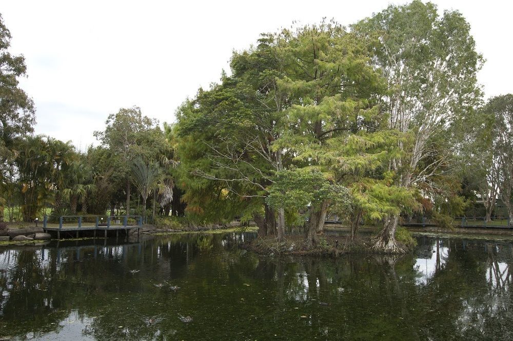 Maroochydore Cabins Ξενοδοχείο Εξωτερικό φωτογραφία